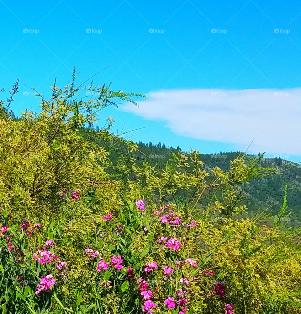 Feather River Canyon