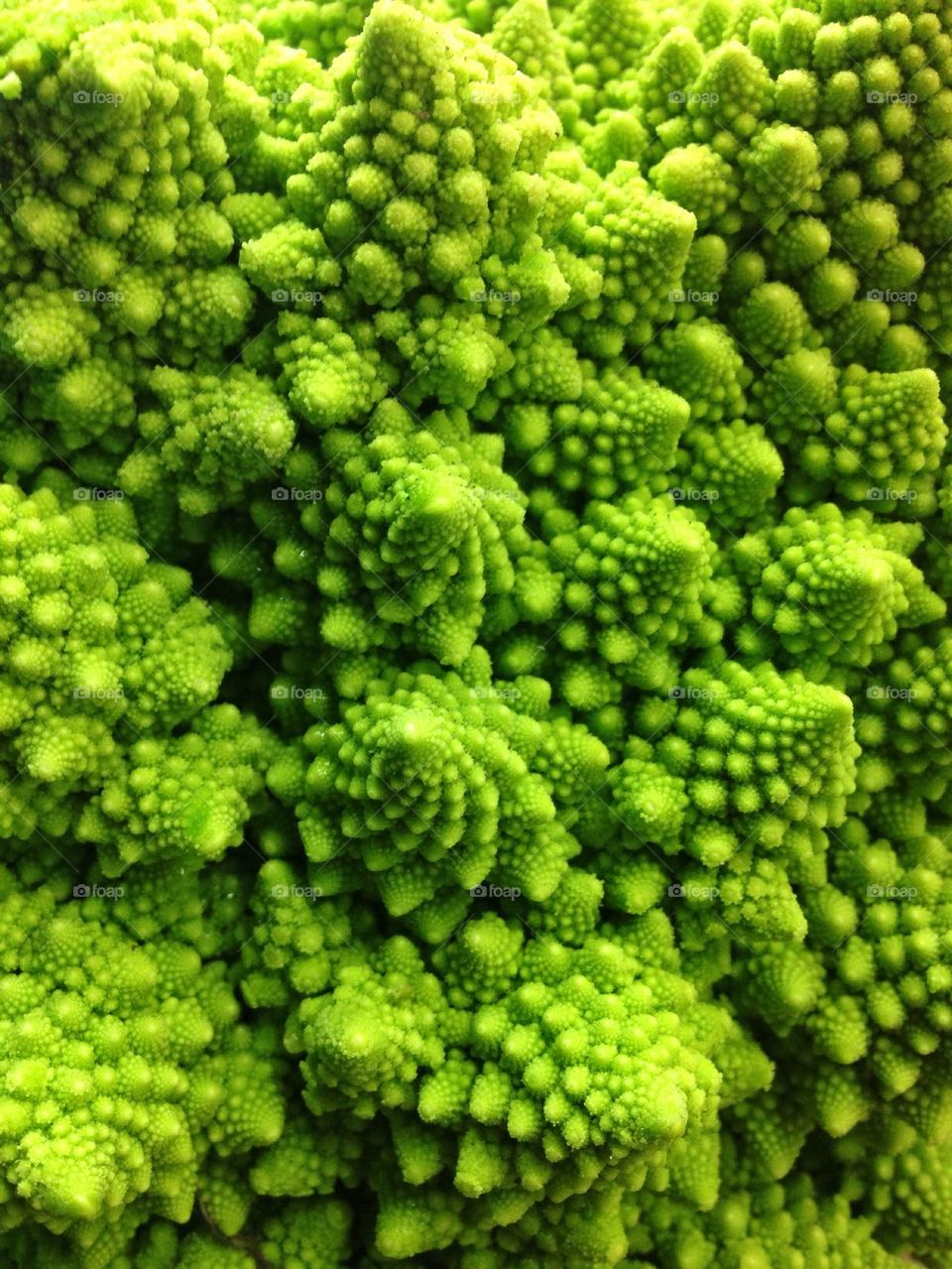 Close-up of romanesco