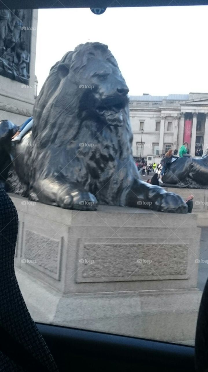 London Lion