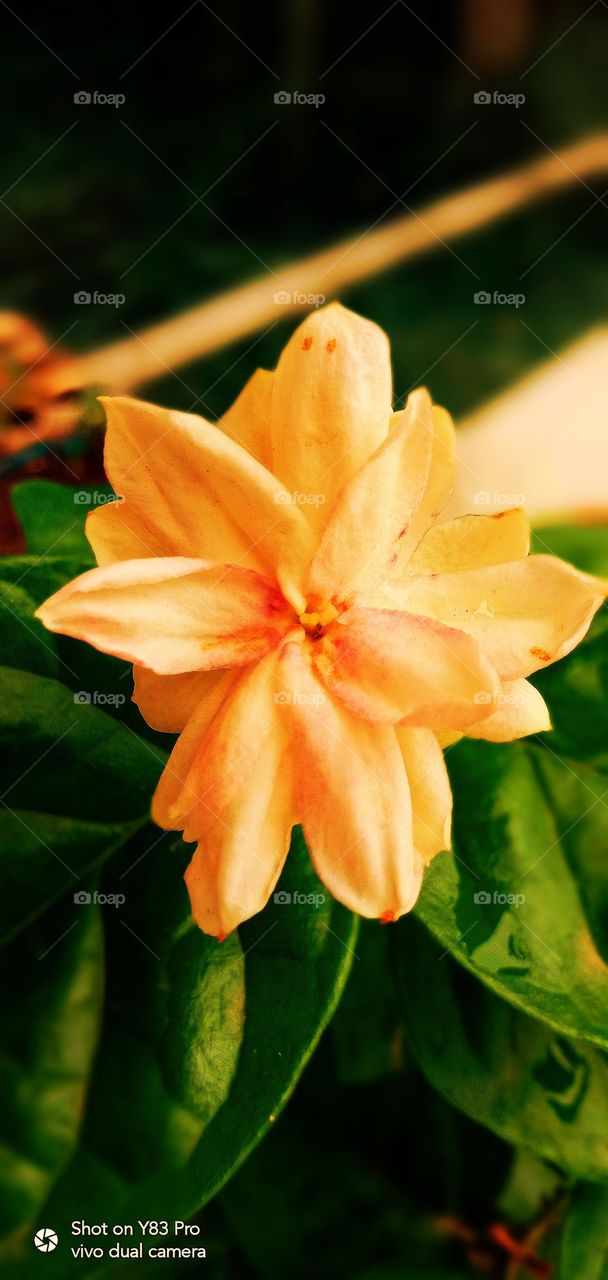 #foap #infoapartemen #foapjuly18 #foapaug18 #foapfeb18 #foapapril17 #foapers #foapjune18 #fotografoaprendiz #sfoapprentices #foaper #infoapartment #foapmission #foapmay18 #foapapr18 #foapit #infoaplikasipaytren #infoapple #foapom #foapjan19 #infoapp 