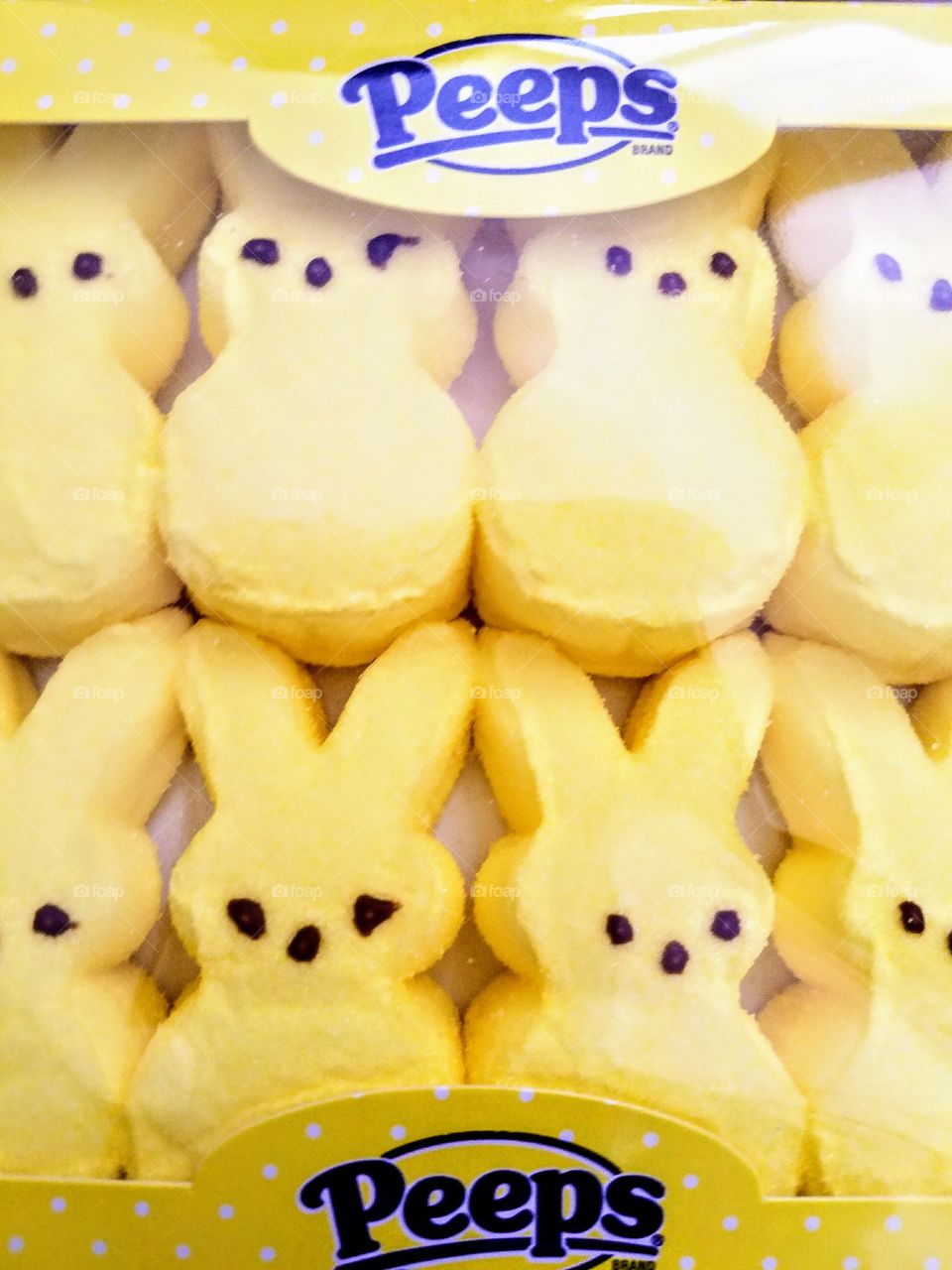 Peeps at Easter time