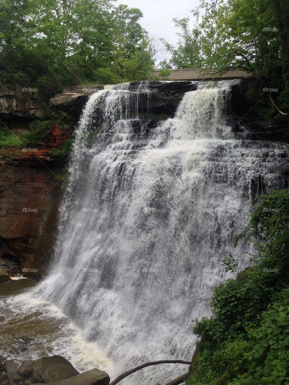 View of waterfall in forest