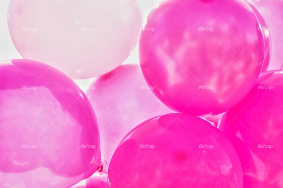 Round Out, No Person, Bright, Desktop, Color