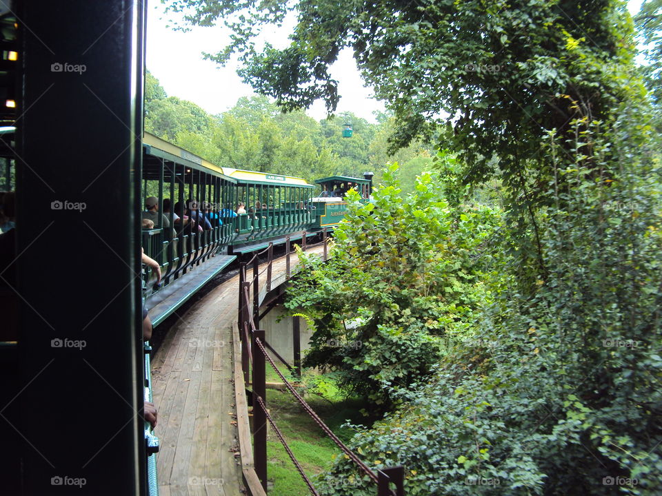 riding the train at the park