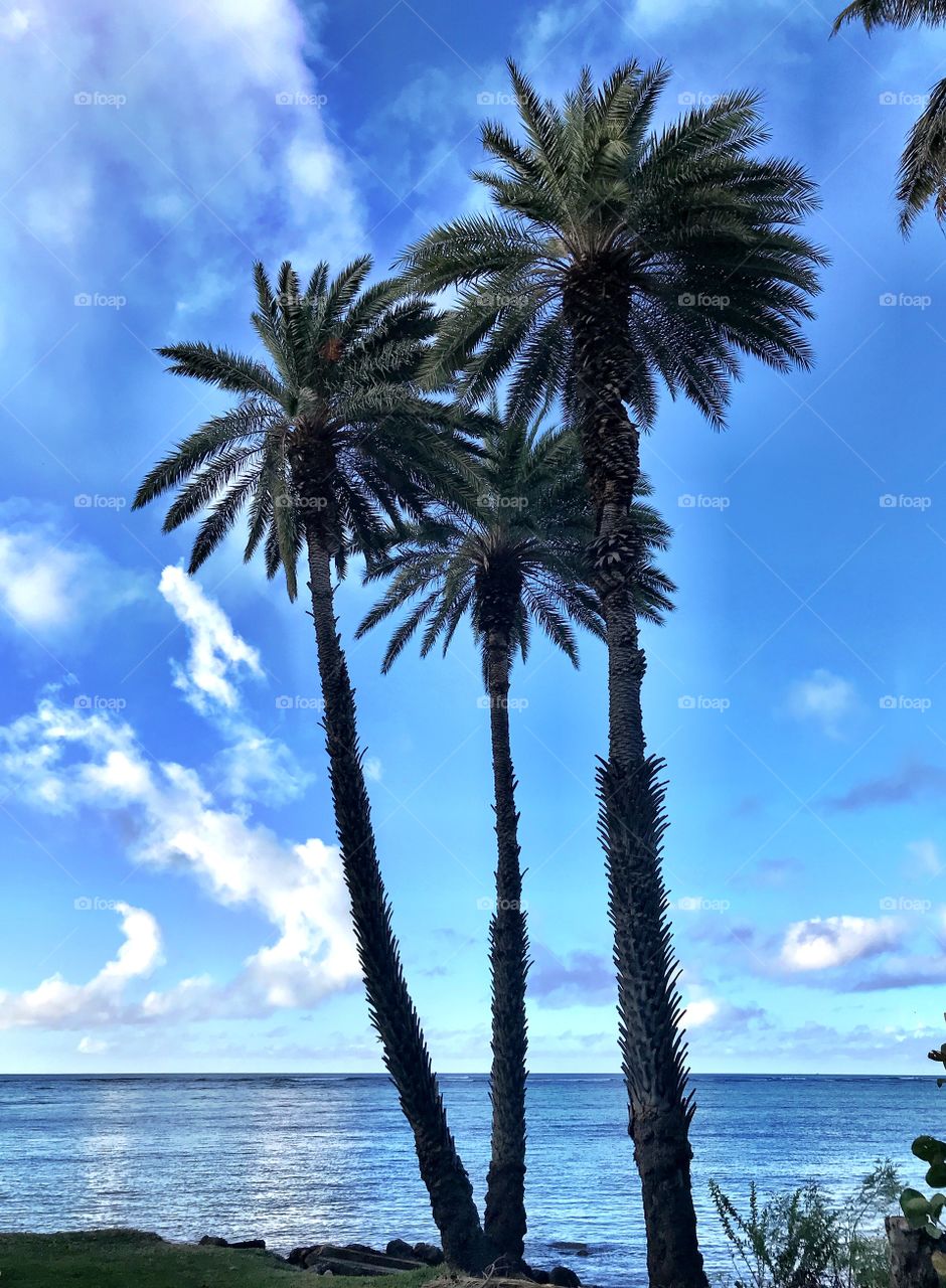 Wailupe Beach Park view