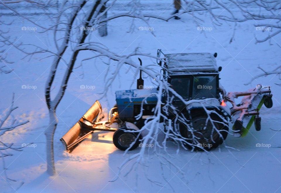 Winter, Snow, Cold, Frost, Frozen