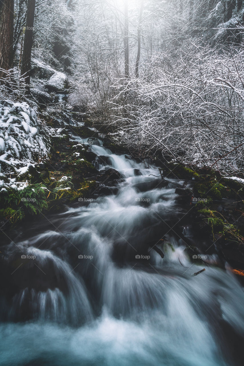 Frosty winter creek flow