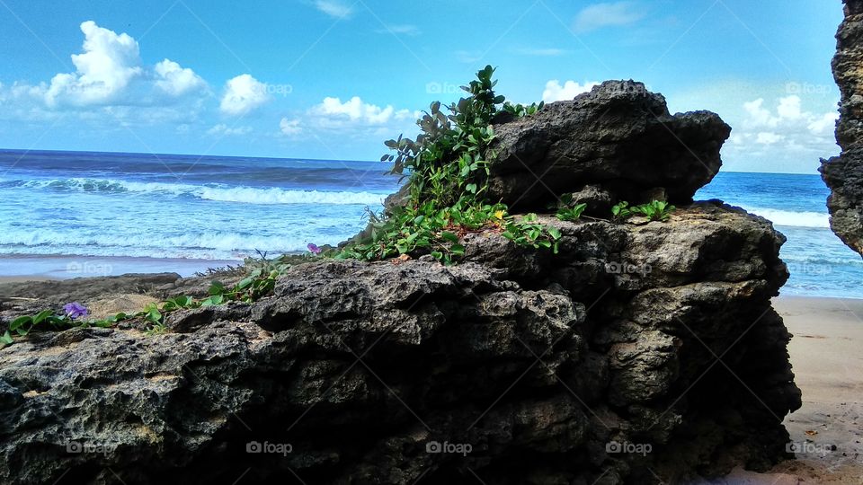Seruni beach in Gunungkidul is the beach developed after Coast Pok Tunggal by the people around the district Tepus. This beach have attractiveness other fallout water from the top of a cliff similar like a waterfall, the sandy white, fun to camp out.