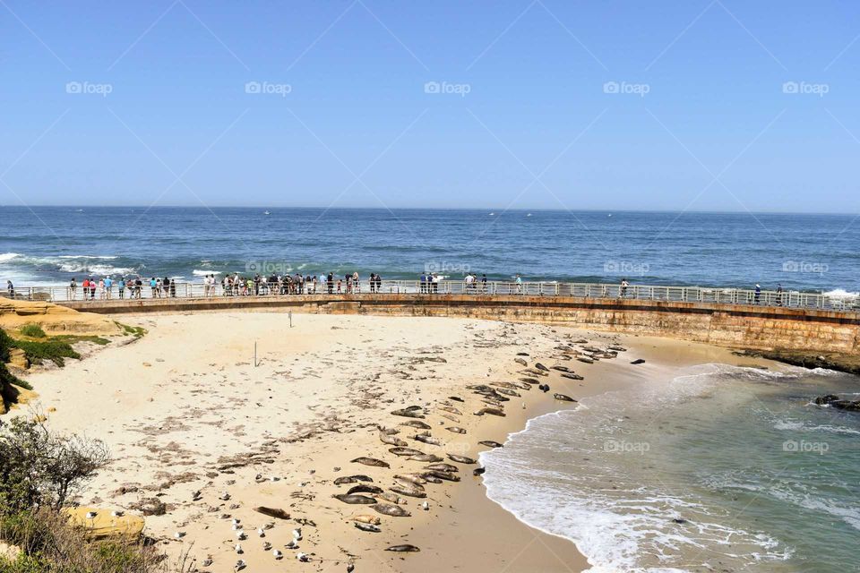 Children Pool La Jolly