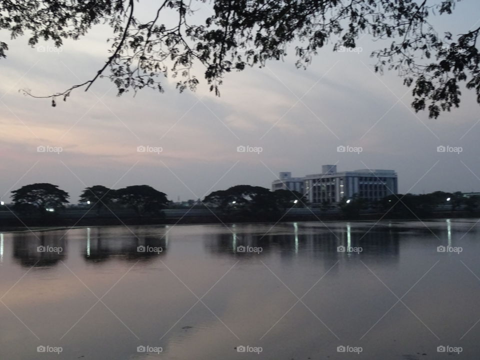 Water, Reflection, Tree, Lake, River