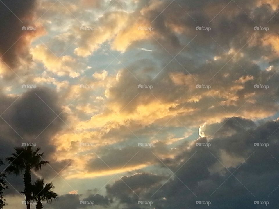 clouds over the palm trees