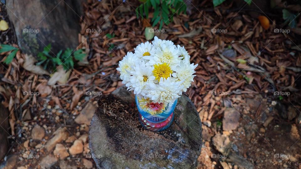 Beautiful white flowers in a colourful flowerpot with a flower sculpture, Flowers in a vase, colourful vase, white flowers in a vase