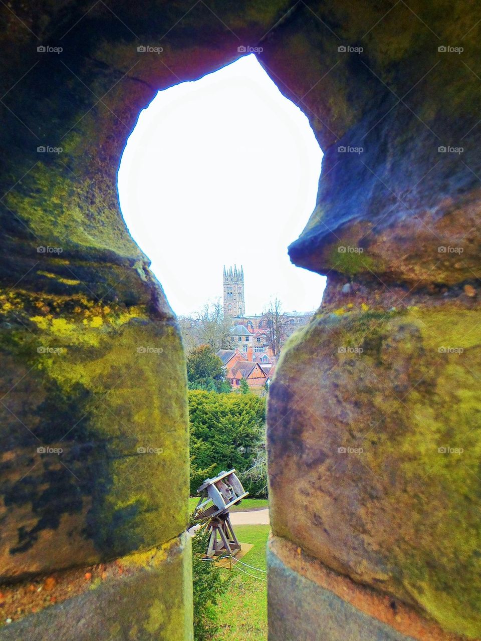 Warwick from the castle