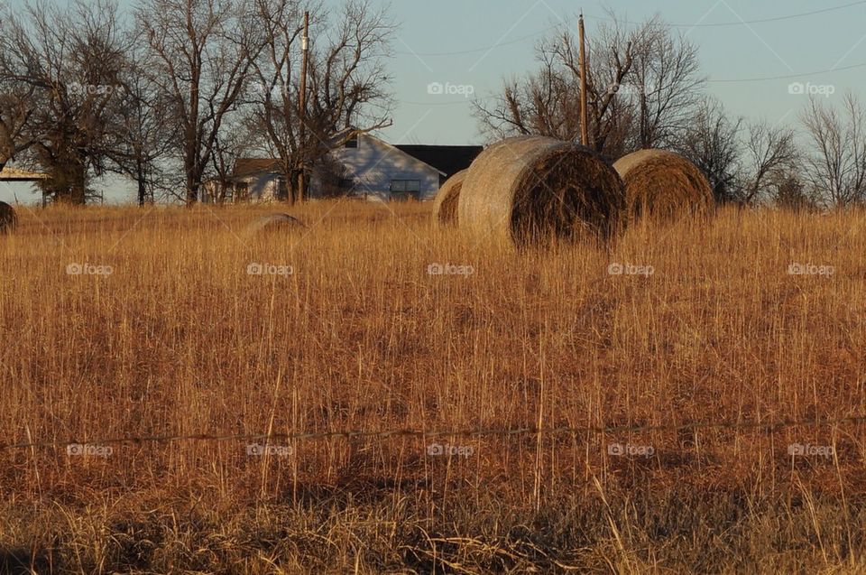 Hay bale role in field