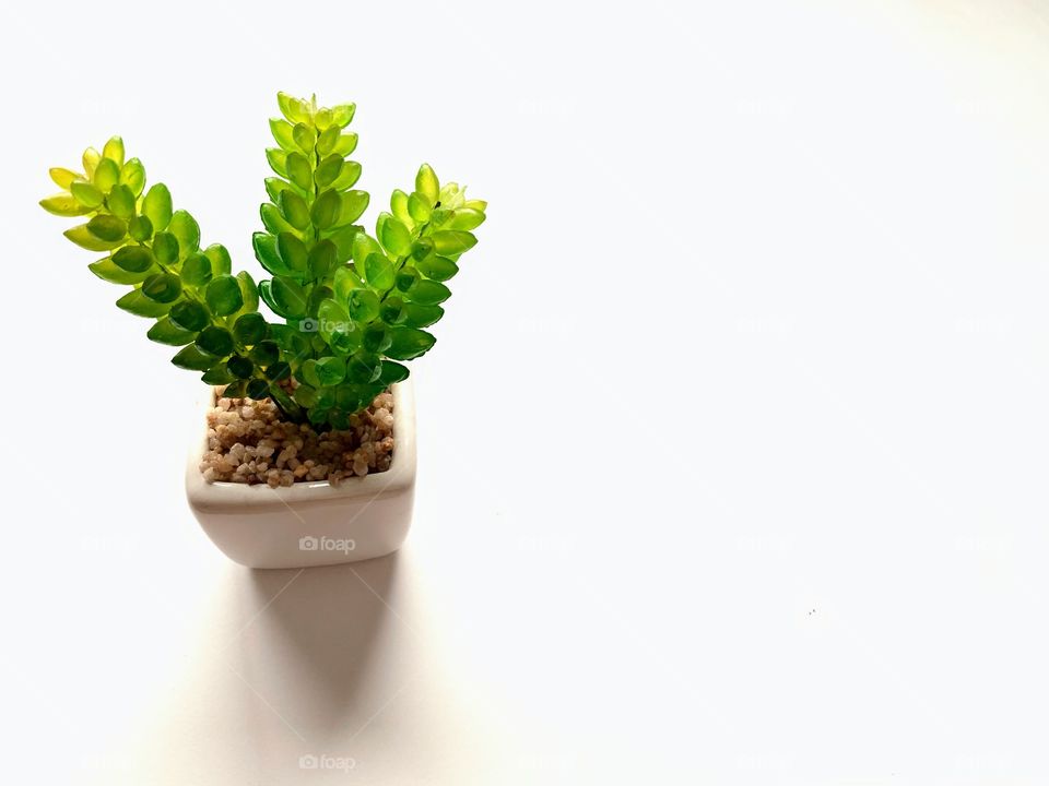 Mini artificial plant pot