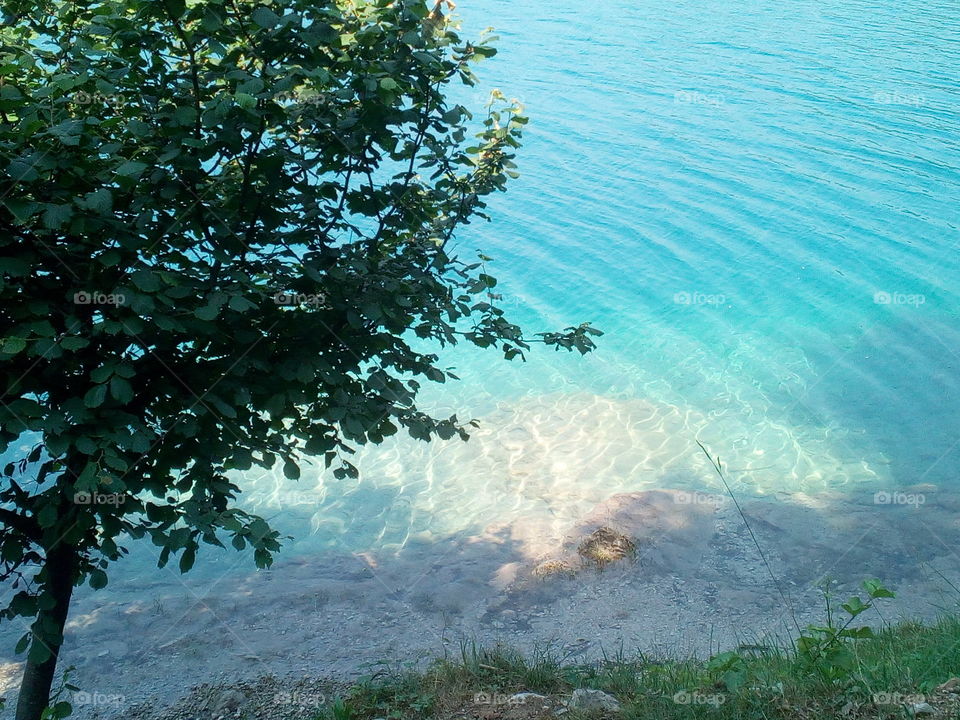 trasparenza del Lago di Ledro