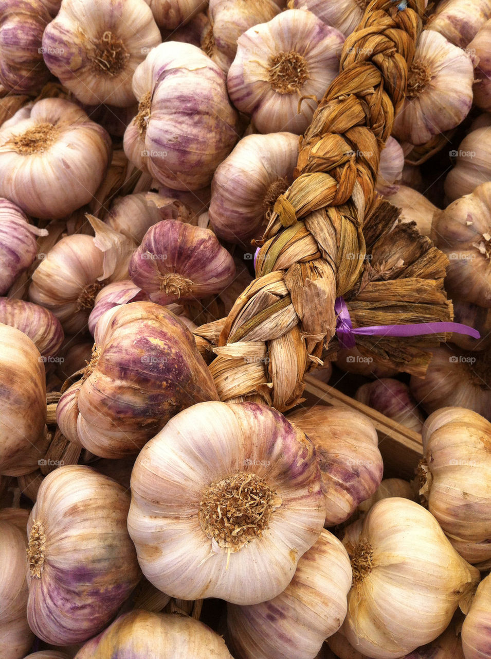 malmö sweden food onion by vivid_photo