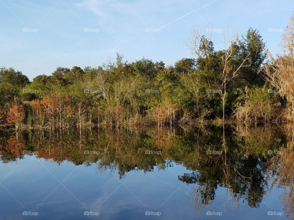 Picnic Lake, Tenoroc Park, Florida