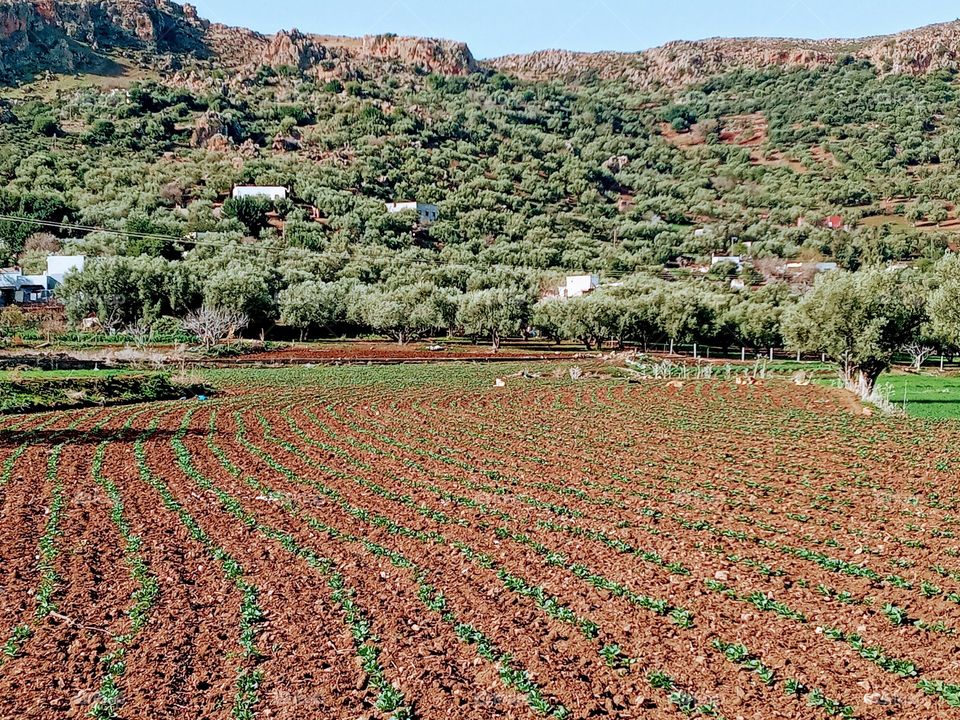 Population between the nature