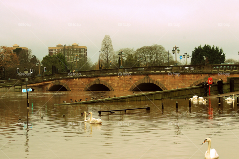 Water, River, Architecture, Bridge, City