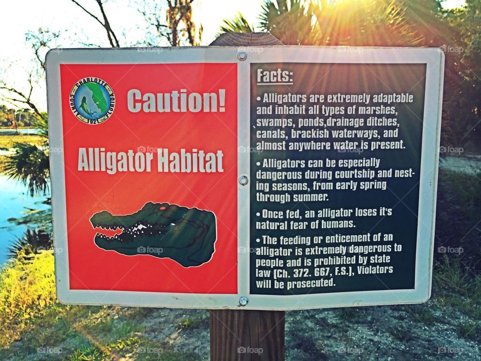 Alligator sign