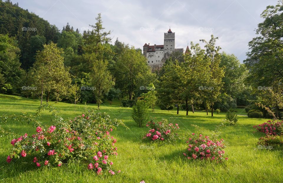 Dracula castle