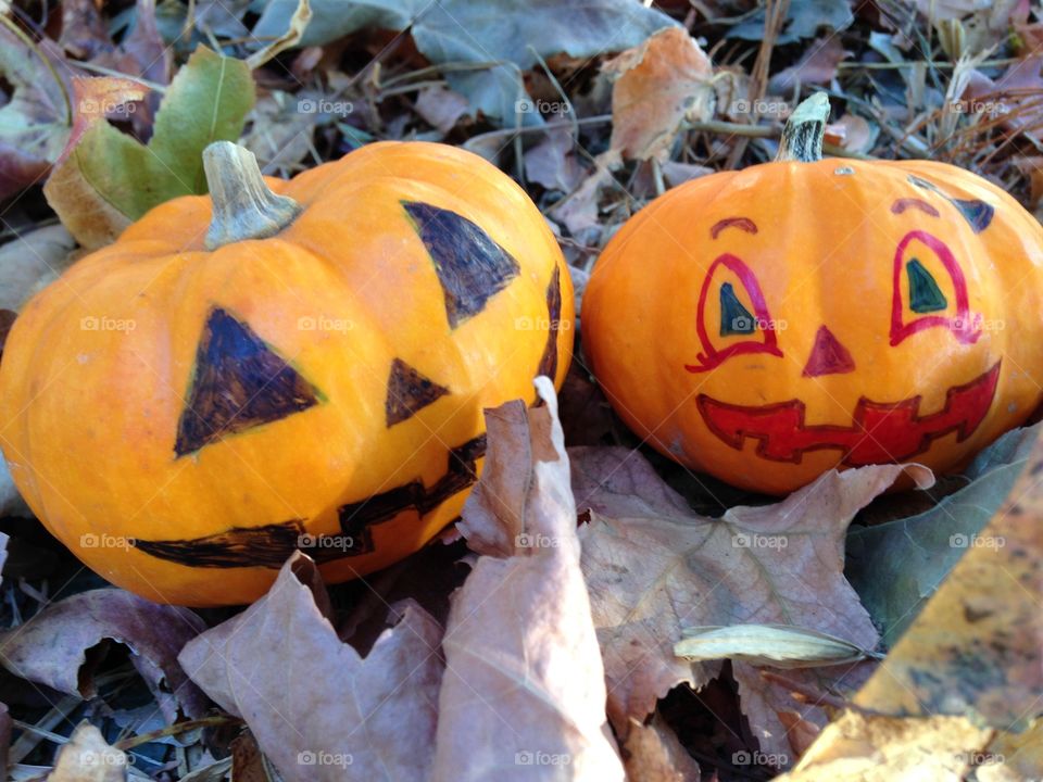 Happy pumpkins . Halloween pumpkins smiling with glee.