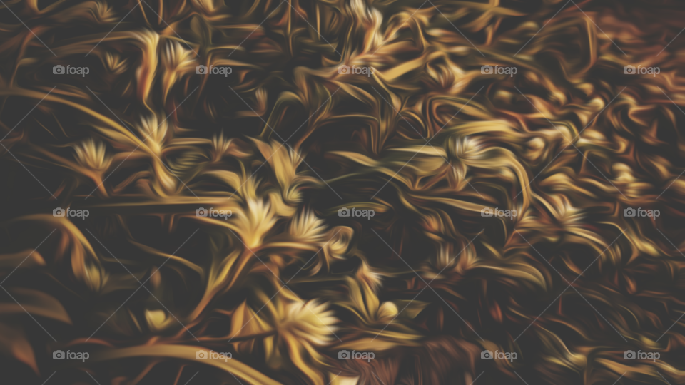 oil painting app - grass flowers