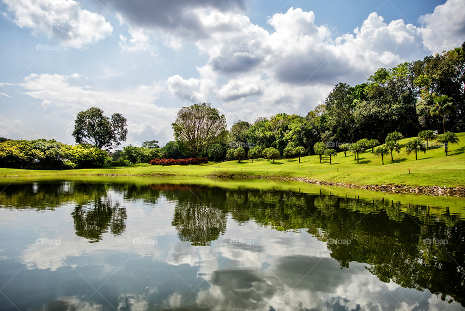 Reflection of trees on water