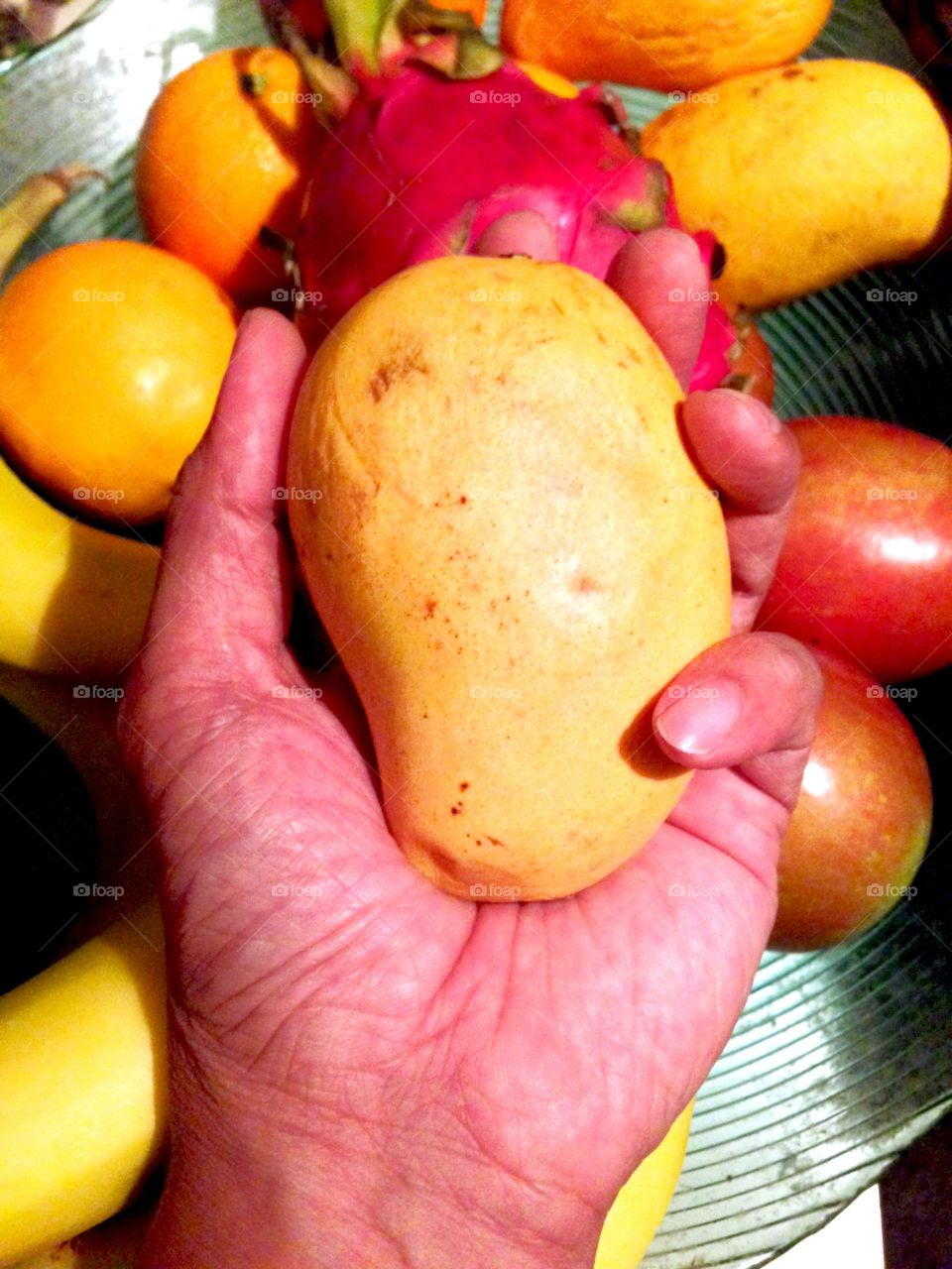 Holding Food In My Hand

Published by:
HappyBrownMonkey 