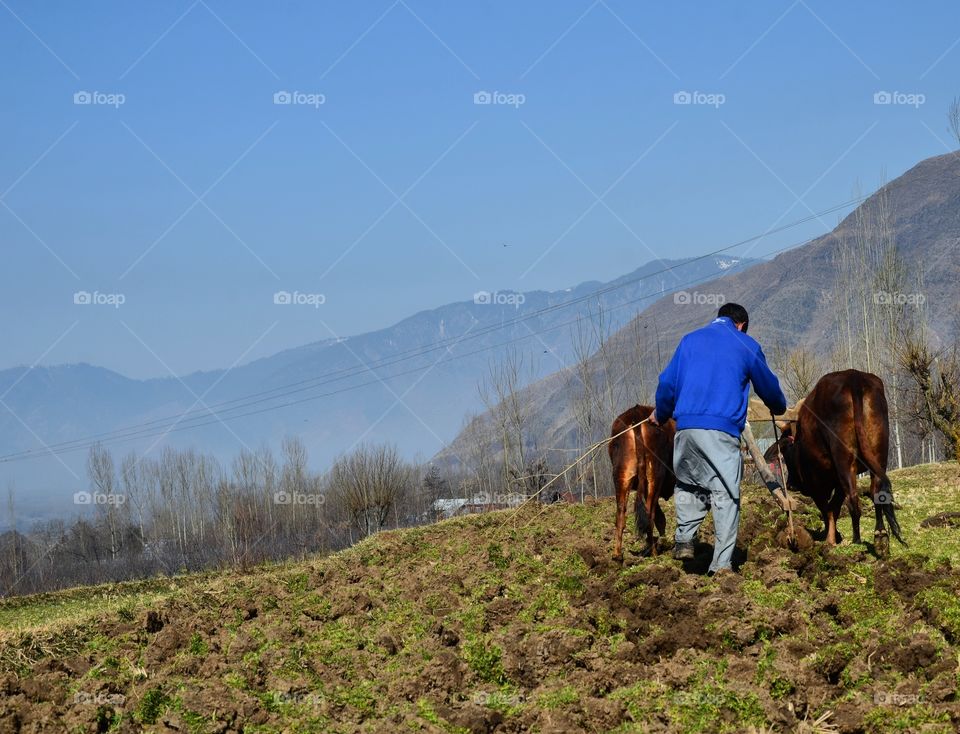 Outdoors, Mountain, Landscape, Mammal, Travel