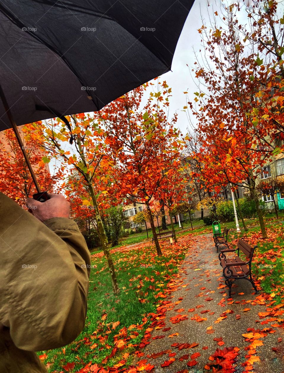 Man and nature in a rainy day