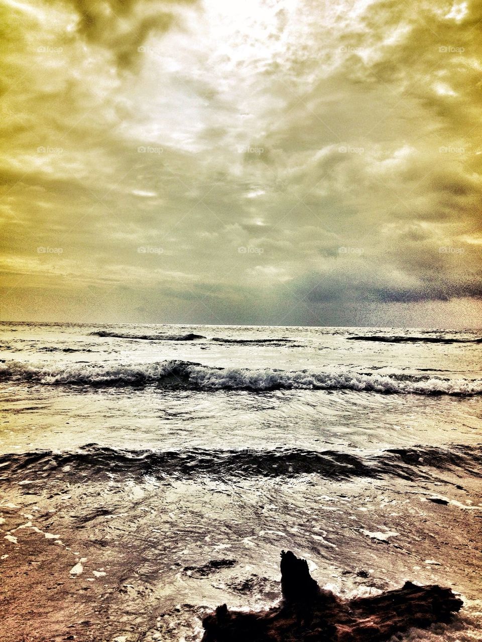 Driftwood during tide