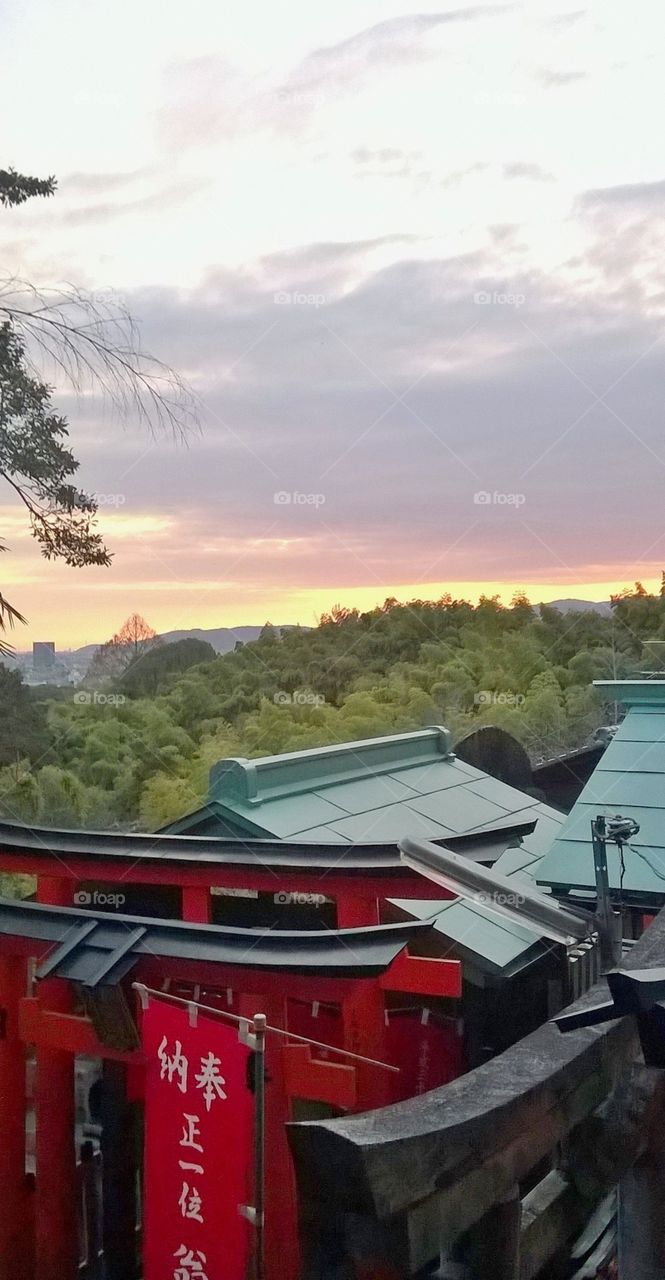 Sunset at Fushimi Inari, Kyoto Japan