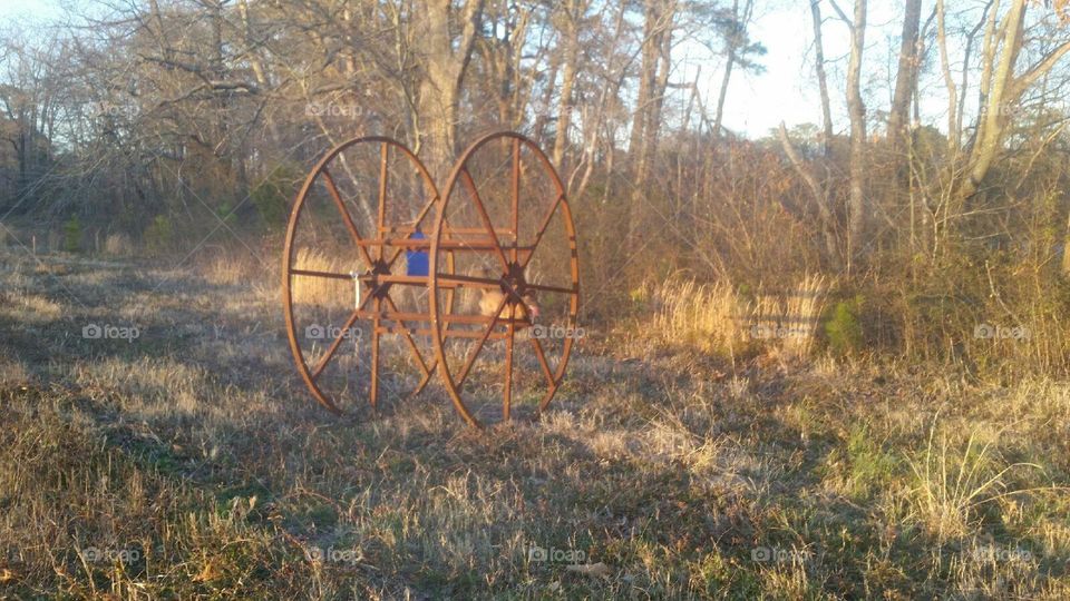 Cable wheel in the middle of field 