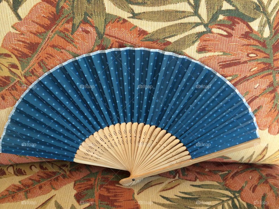 Blue Fan