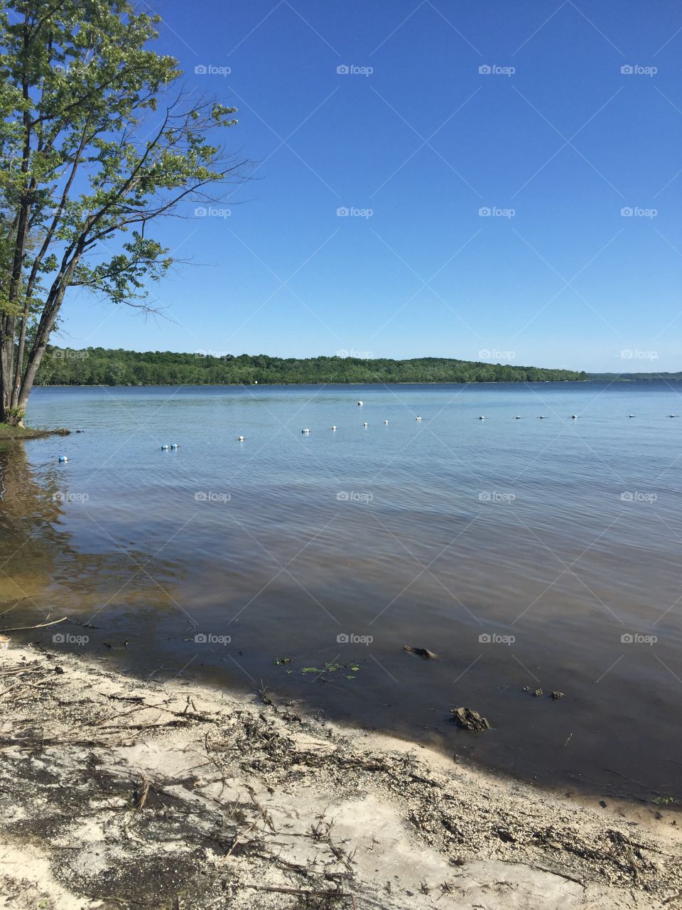 Just looking at the water 