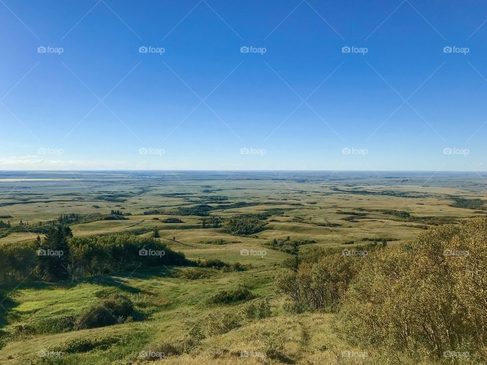 Cypress Hills Interprovincial Park, Saskatchewan 