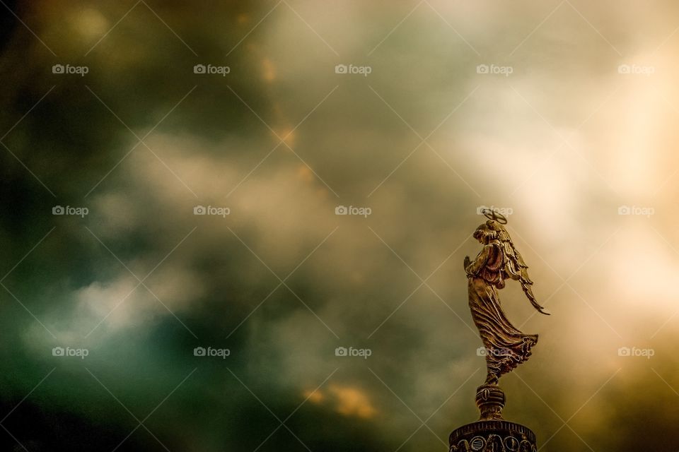 Bringing Forth Light
