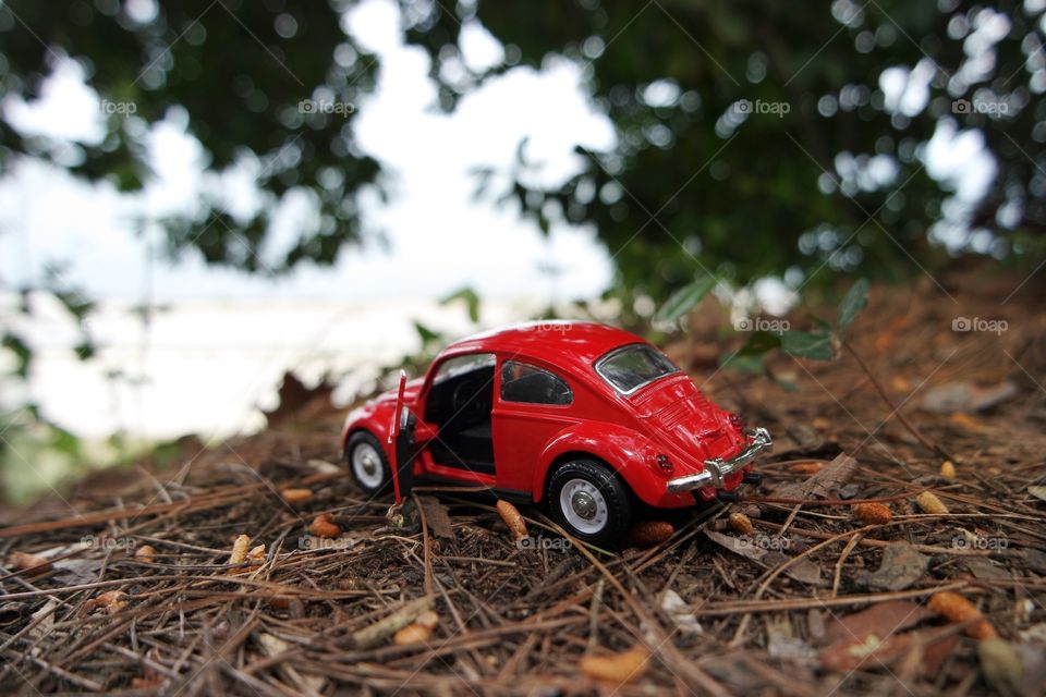 I can go anywhere with my little red car. This vehicle gives you peace of mind. Journey in autumn
