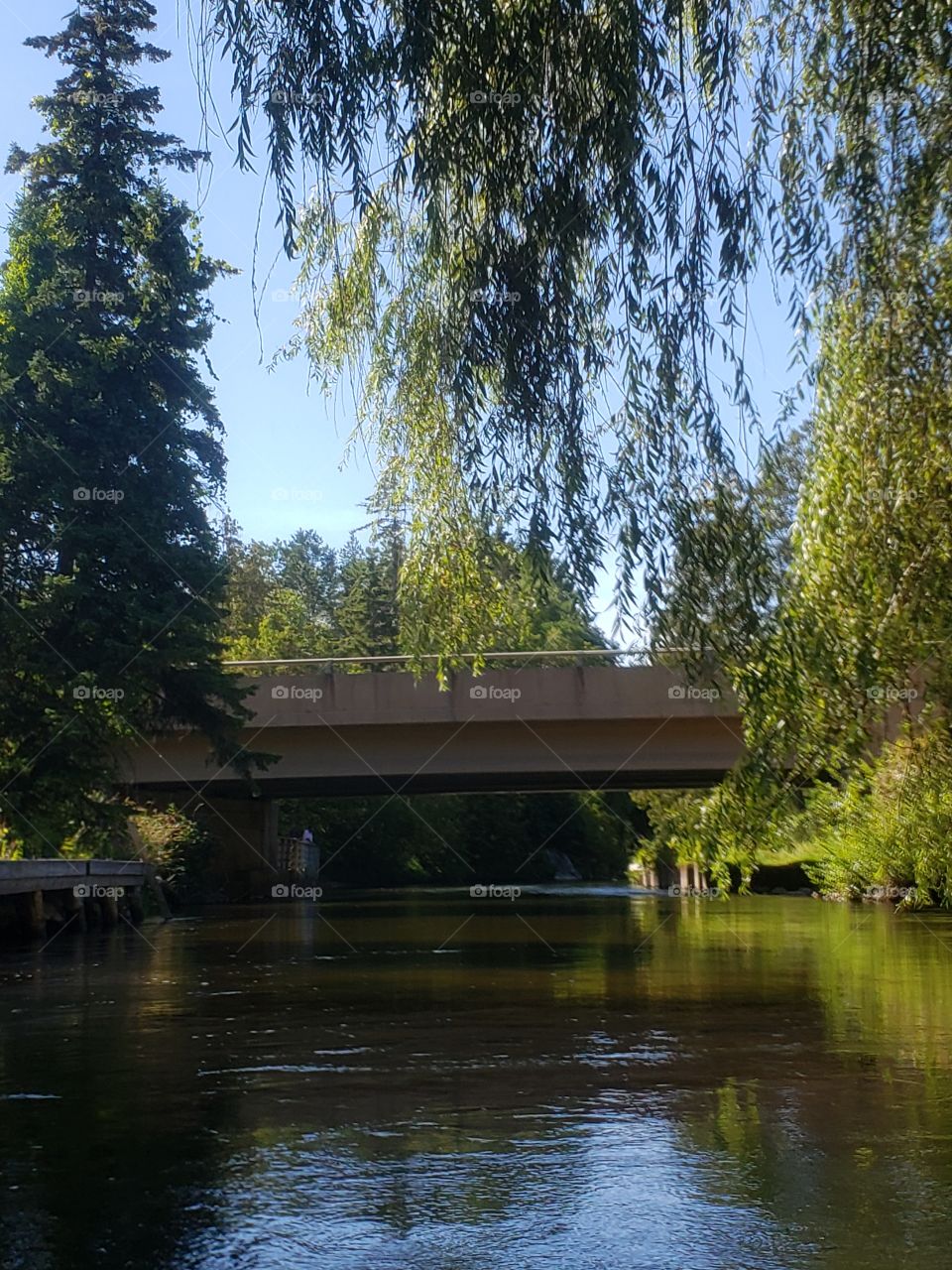 Indian River floating down the river on tubes
