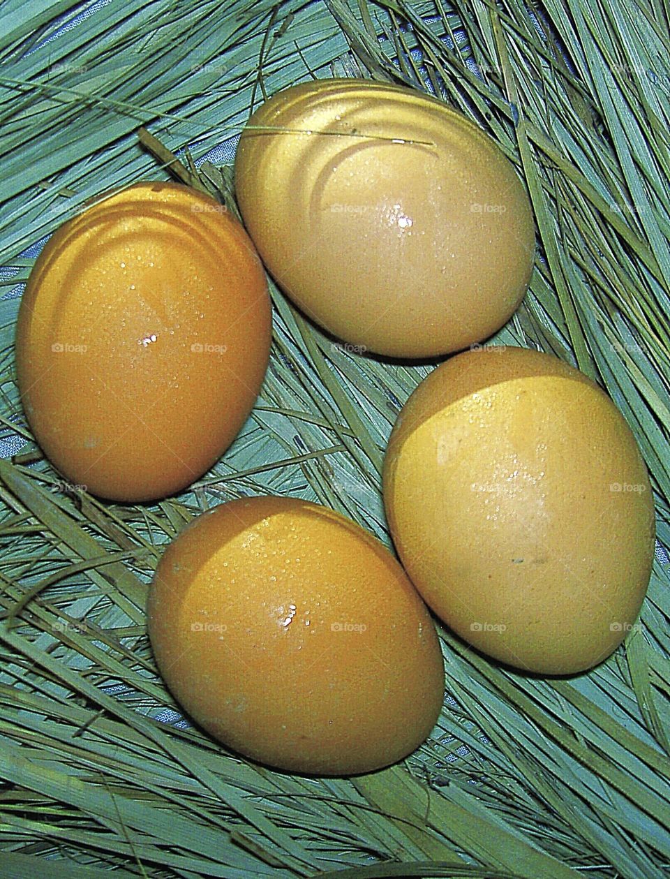 CHICKEN EGGS