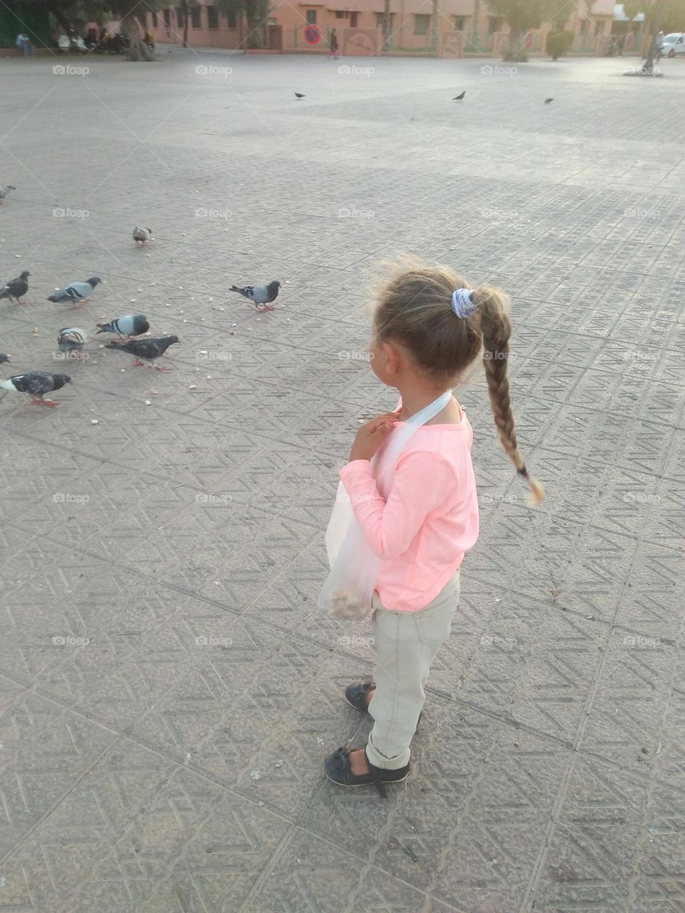 Pretty young girl feeds pigeons