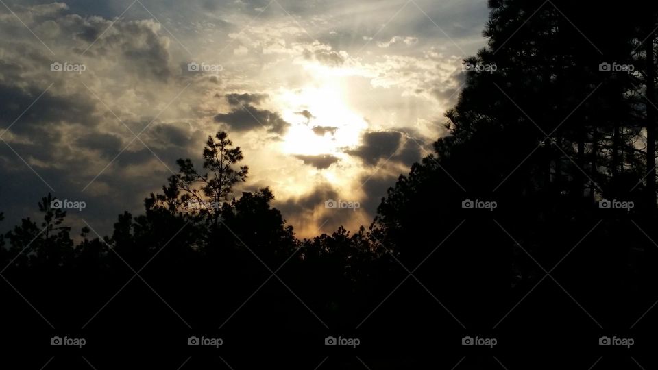 cat face in the cloud