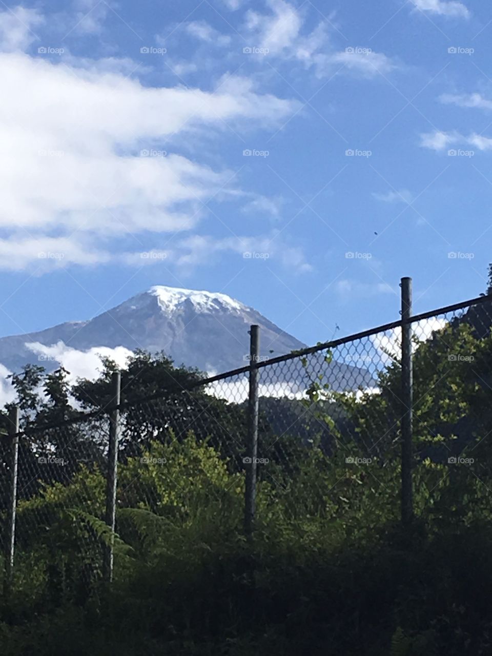 Nevado del tolima, colombia. Paisaje con el nevado de fondo.