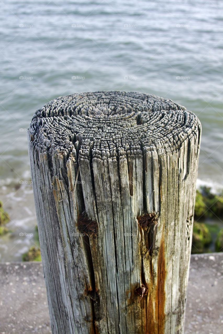 Aged Causeway Pileon