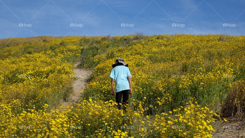 Hiking through wildflowers