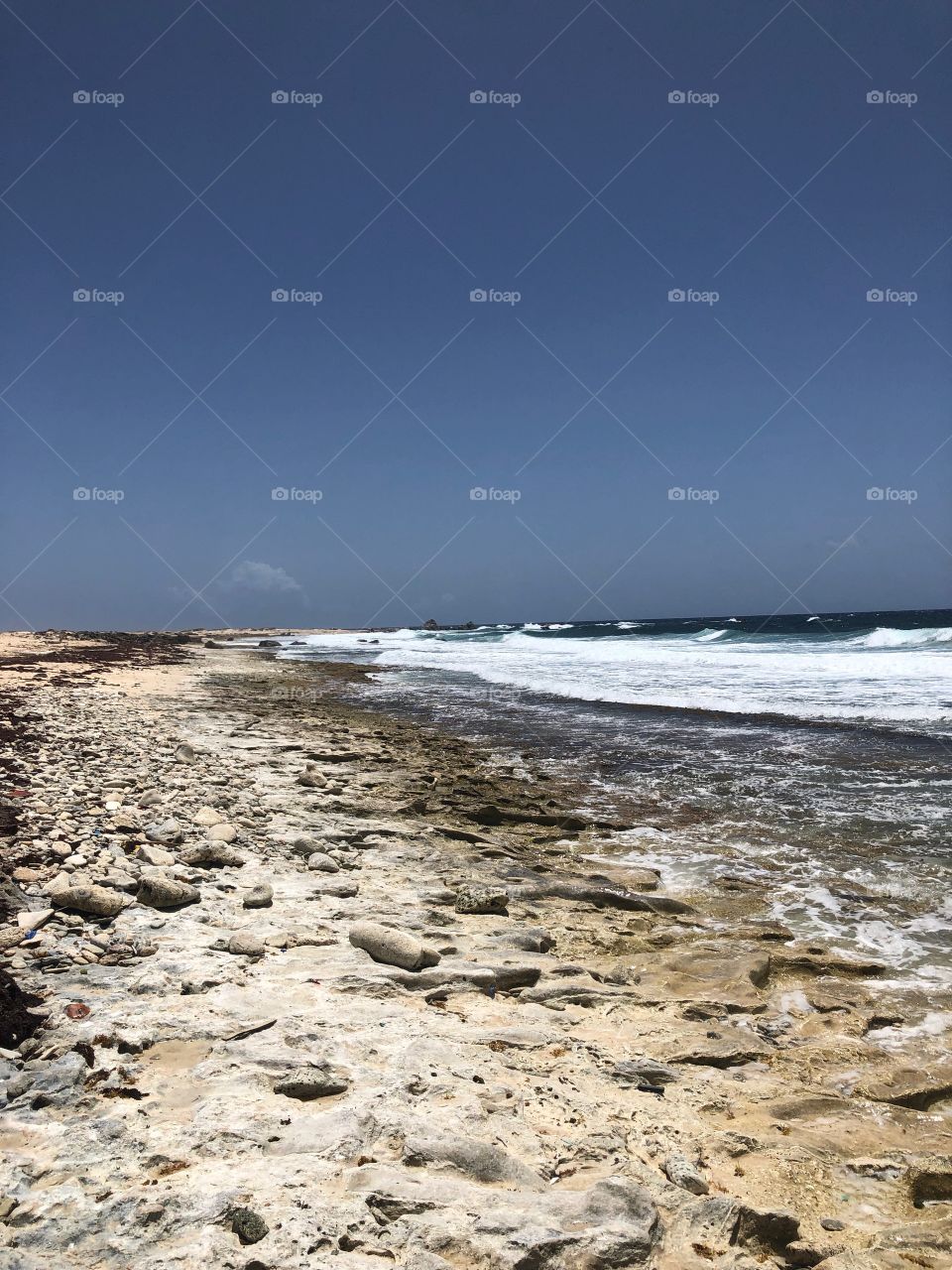 Aruba Shoreline