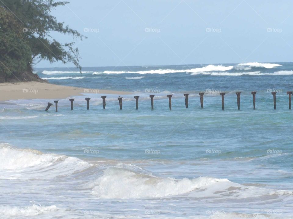 Oahu's Shores