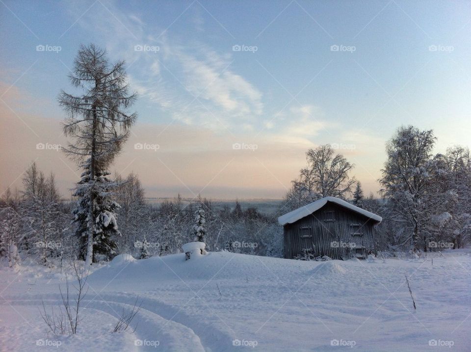 Cottage on snowy landscape